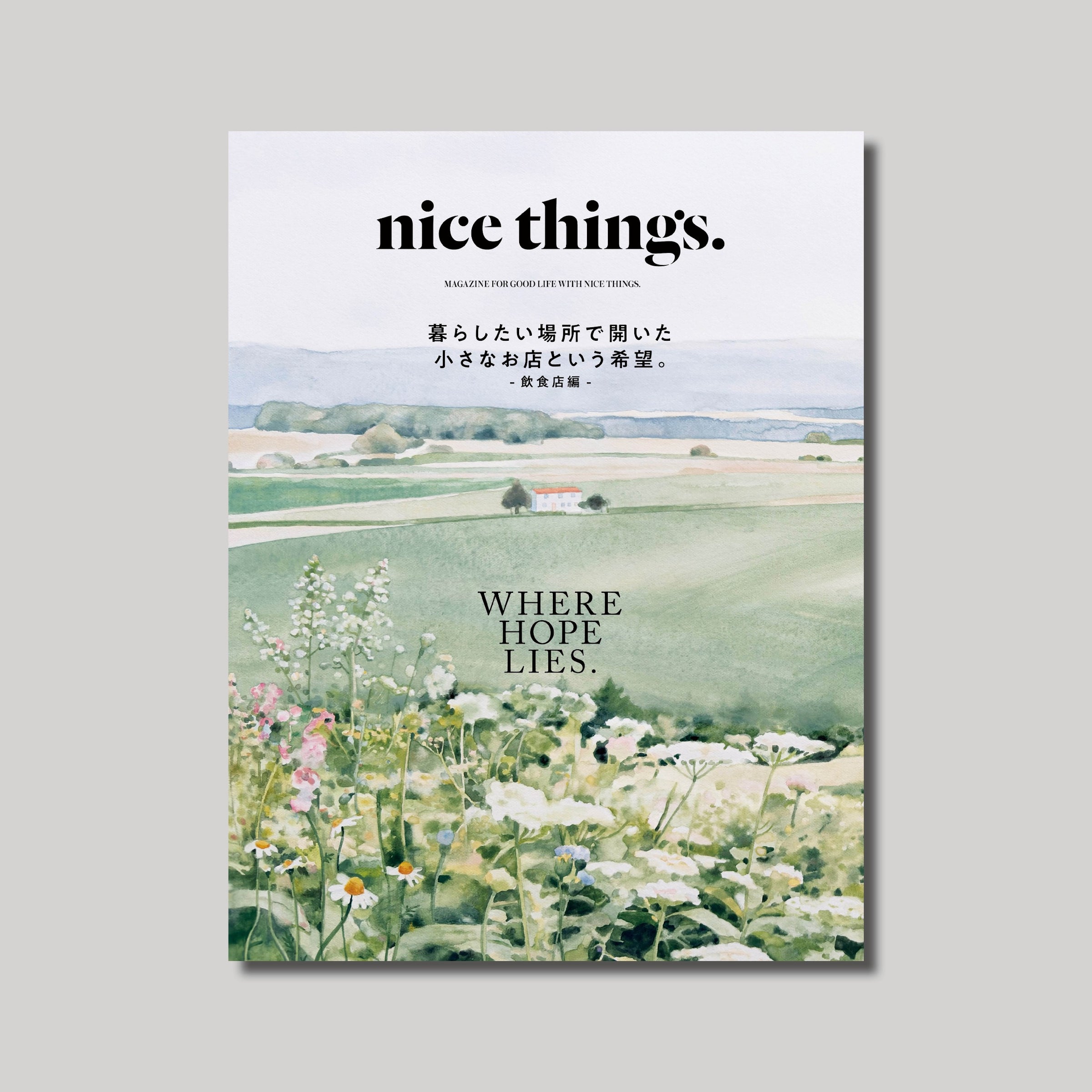 nice things.sore | nice things.